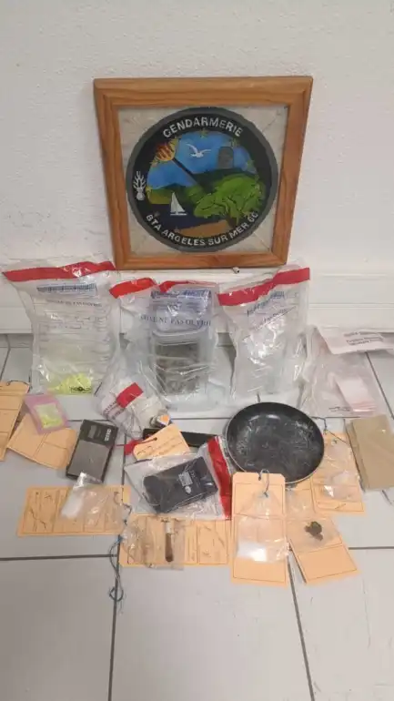 PyrÃ©nÃ©es Orientales : 72 sachets de cannabis saisis aprÃ¨s une patrouille de nuit Ã  ArgelÃ¨s