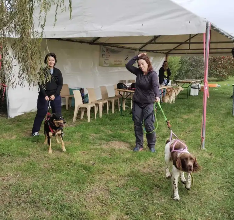 Portes ouvertes au refuge Julie-Cerny : une journÃ©e dÃ©diÃ©e Ã  lâ€™adoption et au lien avec les animaux