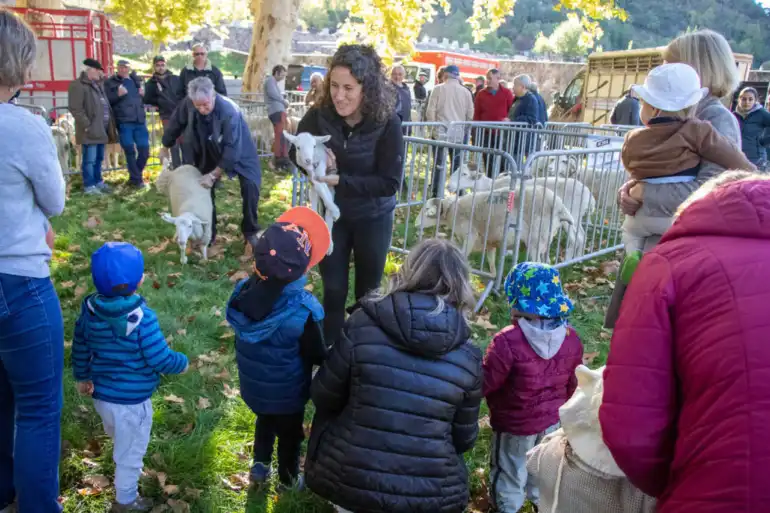 Tarascon-sur-AriÃ¨ge : la Foire dâ€™automne entre tradition et transmission