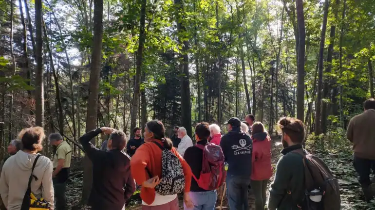 AriÃ¨ge: Une journÃ©e pour apprendre Ã  â€œmartelerâ€ la forÃªt avec lâ€™associationÂ Sylvestre 09