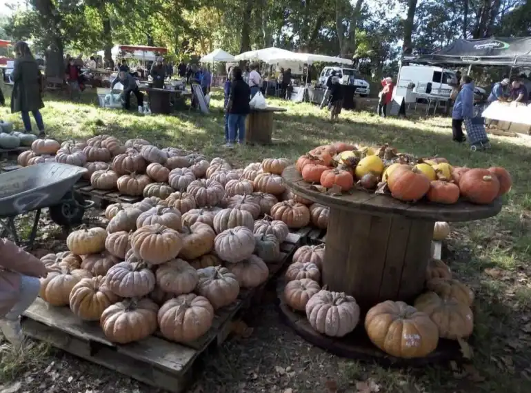 La fÃªte de la courge revient pour sa 3e Ã©dition ce dimanche Ã  Carcassonne