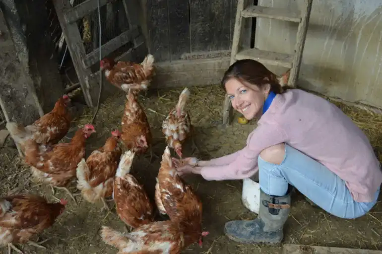 3000 poules rousses Ã  sauver en Occitanie, un rendez-vous en AriÃ¨ge le 15 novembre prochain