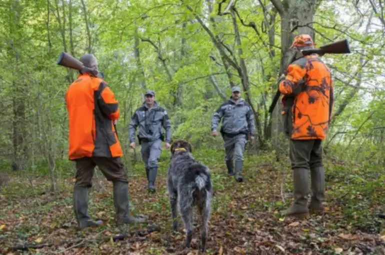 AriÃ¨ge : Â« des contrÃ´les vont Ãªtre renforcÃ©s Â» sur la sÃ©curitÃ© Ã  la chasse, annonce la prÃ©fecture