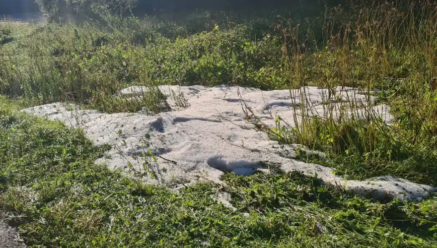 20230728_082251