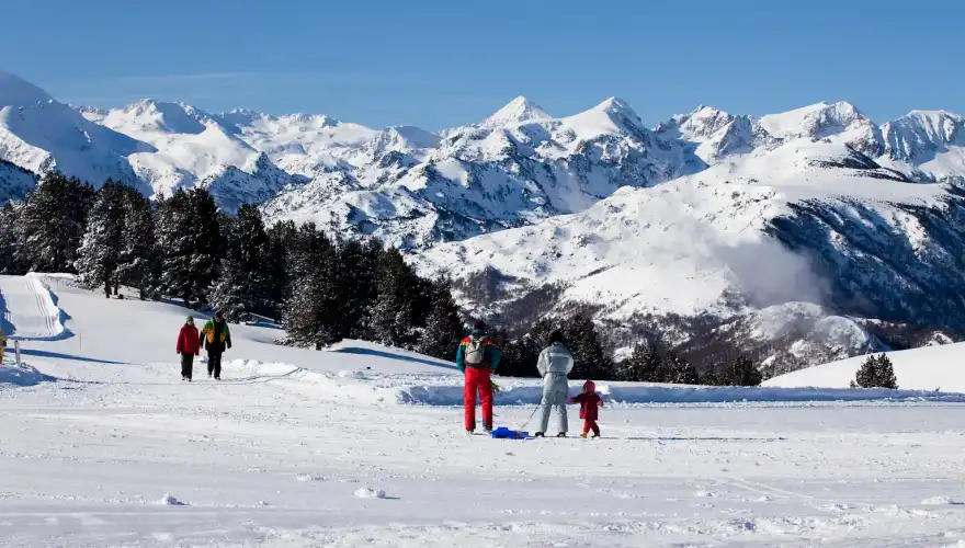 4243 ski nordic à beille (2)