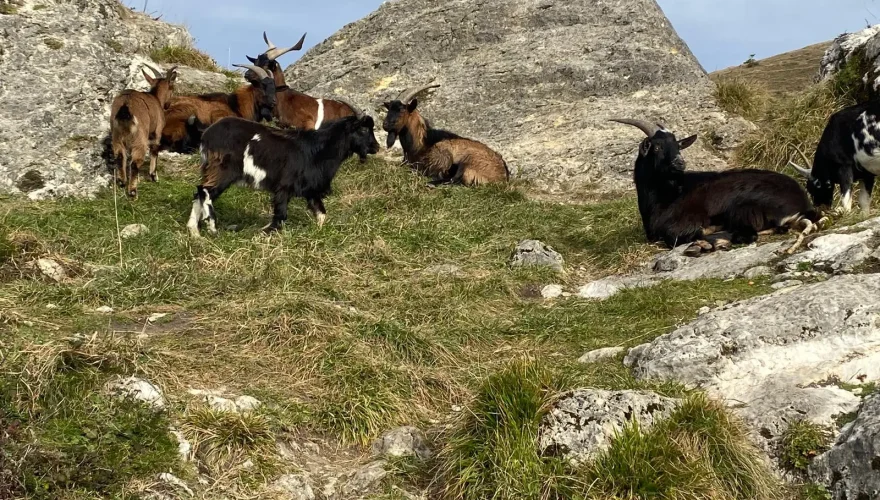 photo @office de tourisme des Pyrénées Cathares