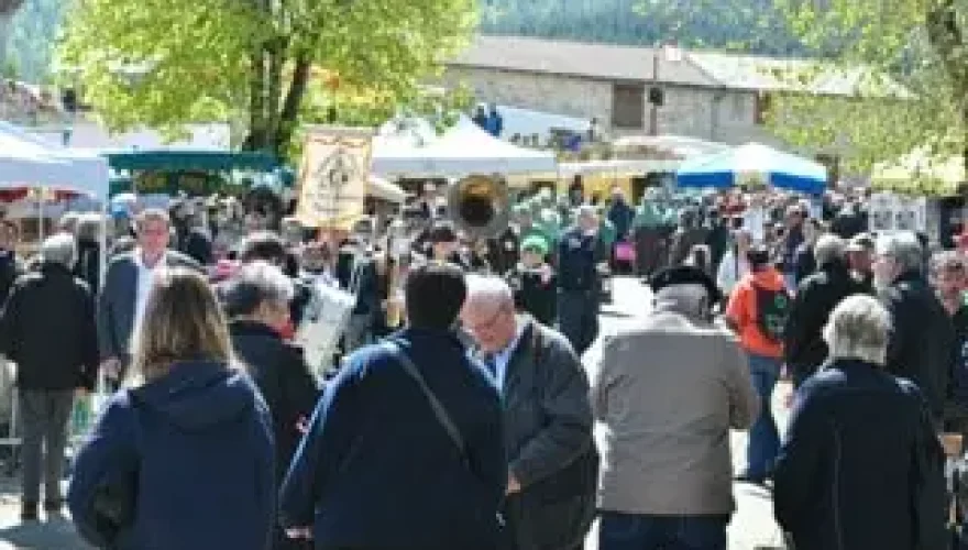 Foire MMg