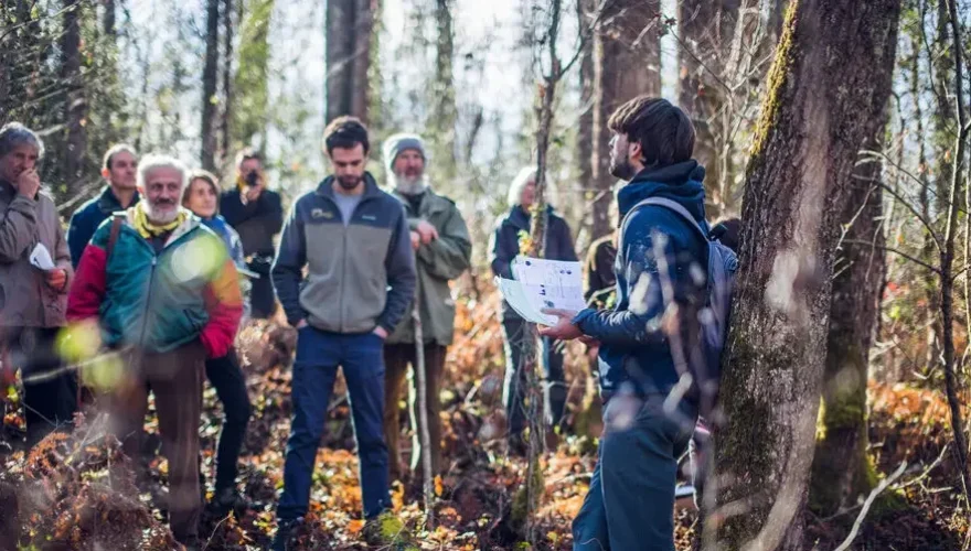 L'association organise une balade guidée à la découverte de la forêt ariégeoise (Crédits : Sylvestre 09).