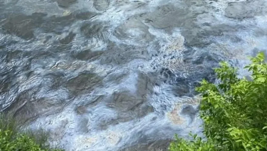 POLU
