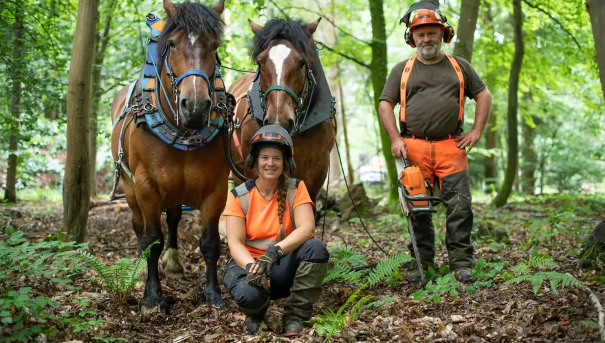 Saint-Gatien-des-Bois © Naïade Plante