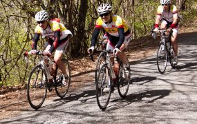 illustration cyclistes - libre de droit