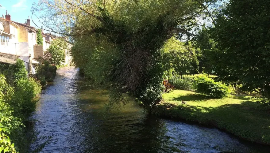 Un_bras_de_la_rivière_Ariège_(Pamiers)