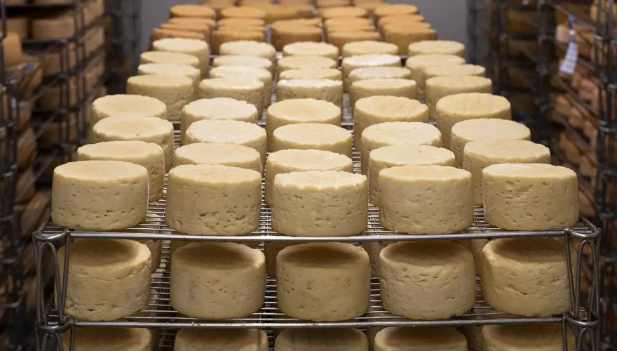 cheese-5125021_1280