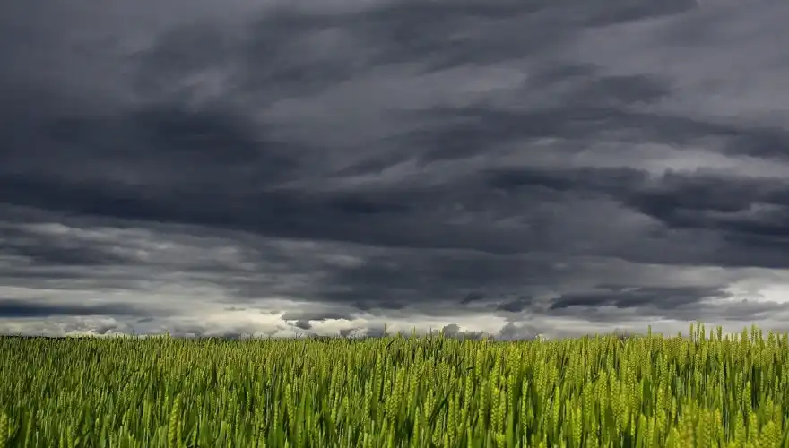 clouds-194840_1280