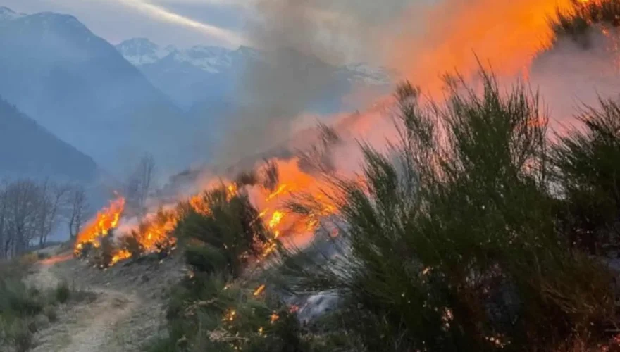 Plusieurs centaines d'hectares sont déjà partis en fumée, Photo SDIS09