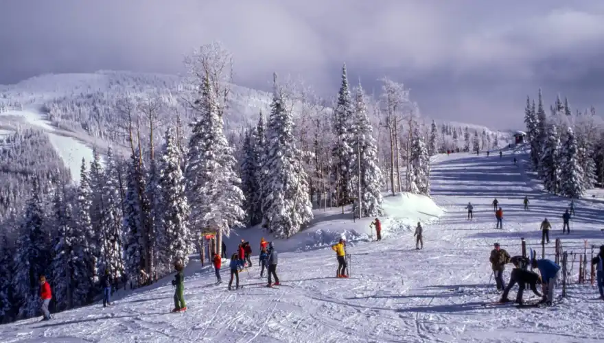 ski