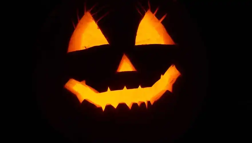 pumpkin-2892303_1280
