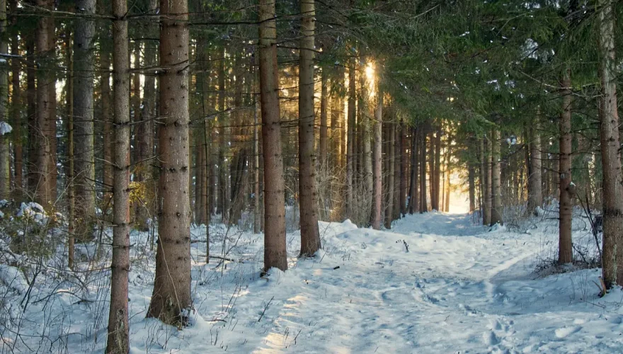 snow-3158868_1280