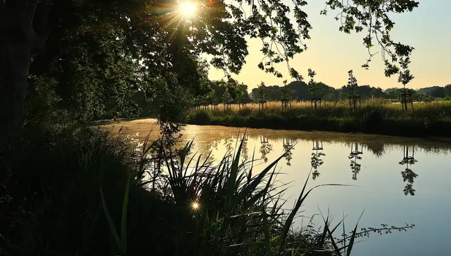 sunrise-5282893_1280